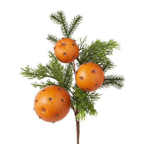 Orange & Cedar Pomander Stem