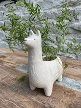 Load image into Gallery viewer, Ceramic Llama Planter/Container
