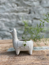 Load image into Gallery viewer, Ceramic Llama Planter/Container
