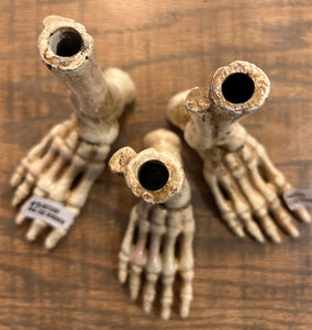 Skeleton Foot Pen Holder