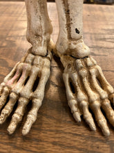 Load image into Gallery viewer, Skeleton Foot Pen Holder
