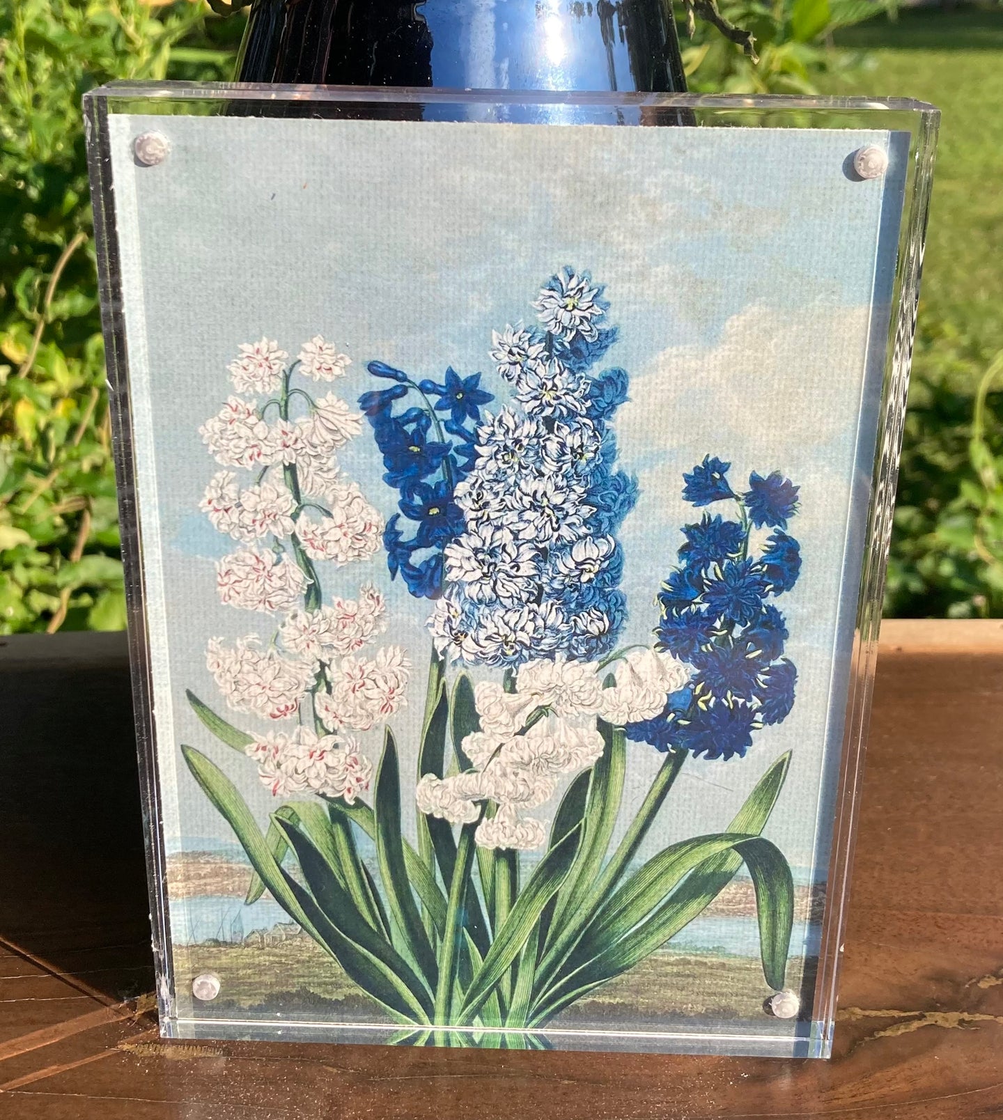 Double-Sided Flower Artwork in Acrylic Frame