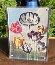 Load image into Gallery viewer, Double-Sided Flower Artwork in Acrylic Frame
