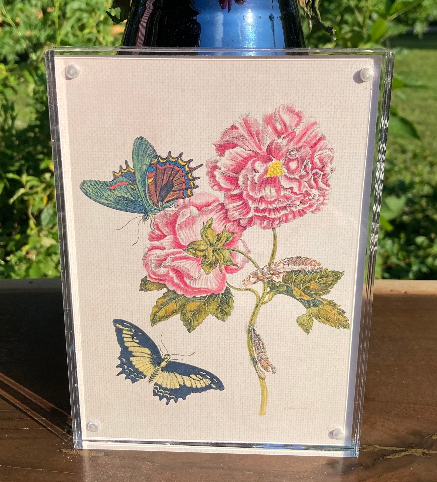 Double-Sided Butterfly and Flower Artwork in Acrylic Frame