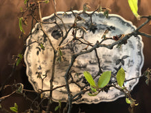 Load image into Gallery viewer, Antique Transferware Tray, multiple styles

