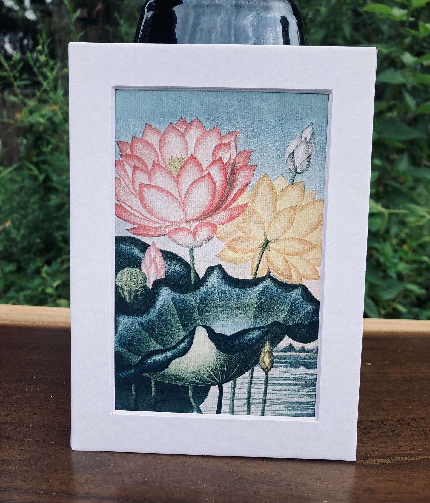 Sacred Lotus Print in White Matte