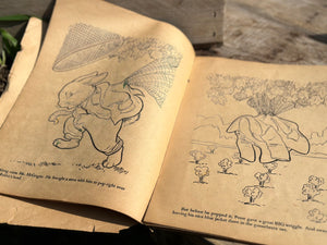 Vintage Peter Rabbit Book