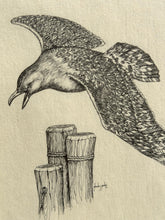 Load image into Gallery viewer, Pen &amp; Ink Bird Original Art
