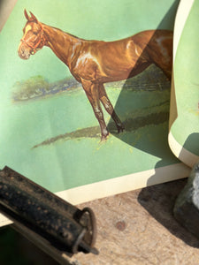 Equine Art, Set of 4, in original mailing tube