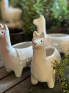 Ceramic Llama Planter/Container
