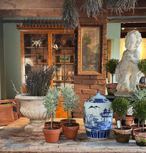 Load image into Gallery viewer, Mossy-Potted Topiary, multiple styles
