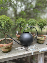 Load image into Gallery viewer, Mossy-Potted Topiary, multiple styles
