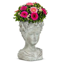 Load image into Gallery viewer, Cement Kore Planter
