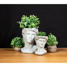 Load image into Gallery viewer, Cement Apollo Planter
