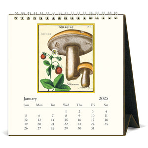 2025 Vintage Art Desk Calendar, multiple styles