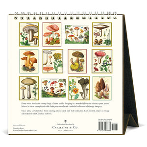 2025 Vintage Art Desk Calendar, multiple styles