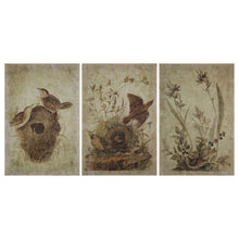 Load image into Gallery viewer, Botanical Bird Wall Art, multiple styles

