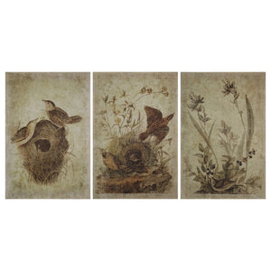 Botanical Bird Wall Art, multiple styles