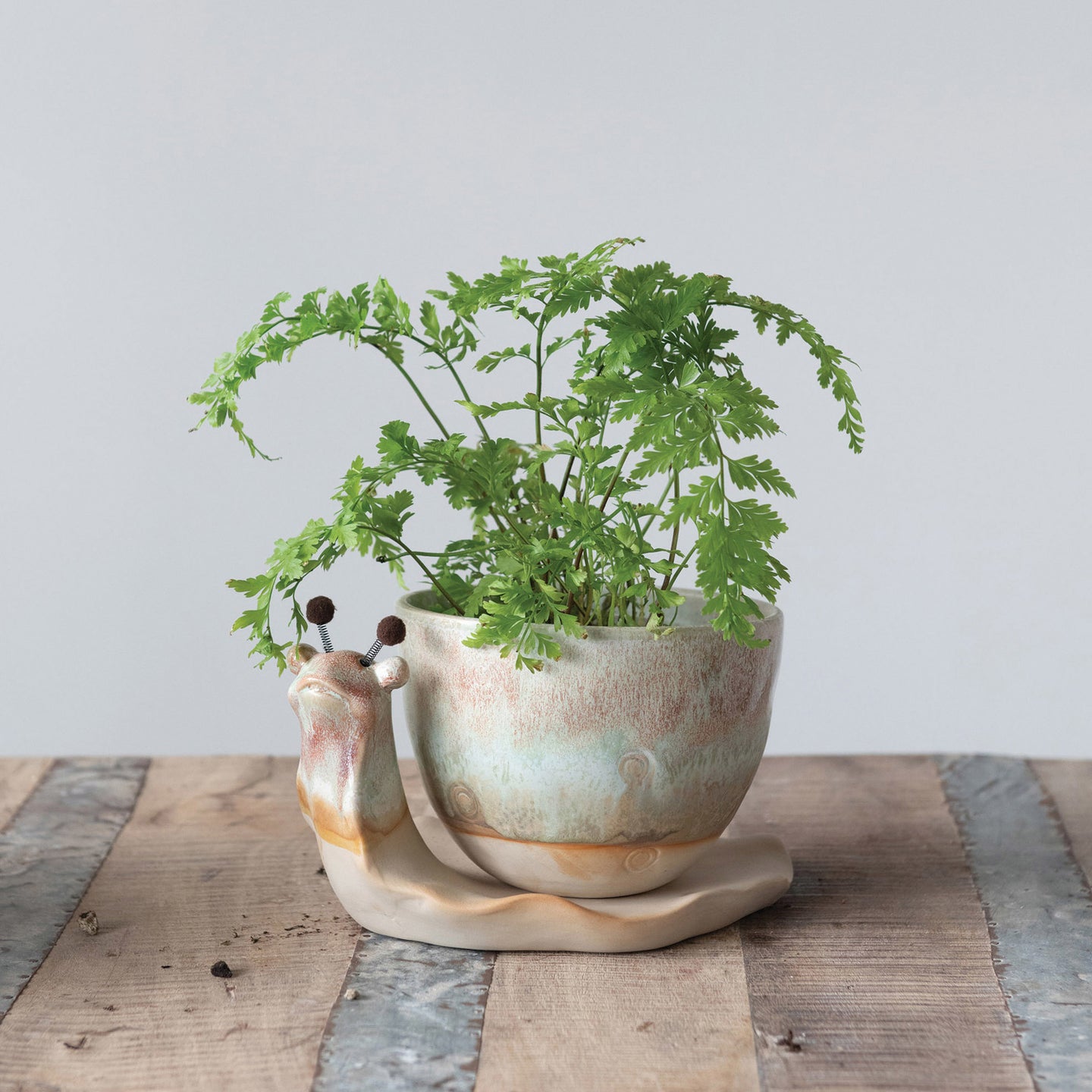 Playful 2pc Snail Planter/Container