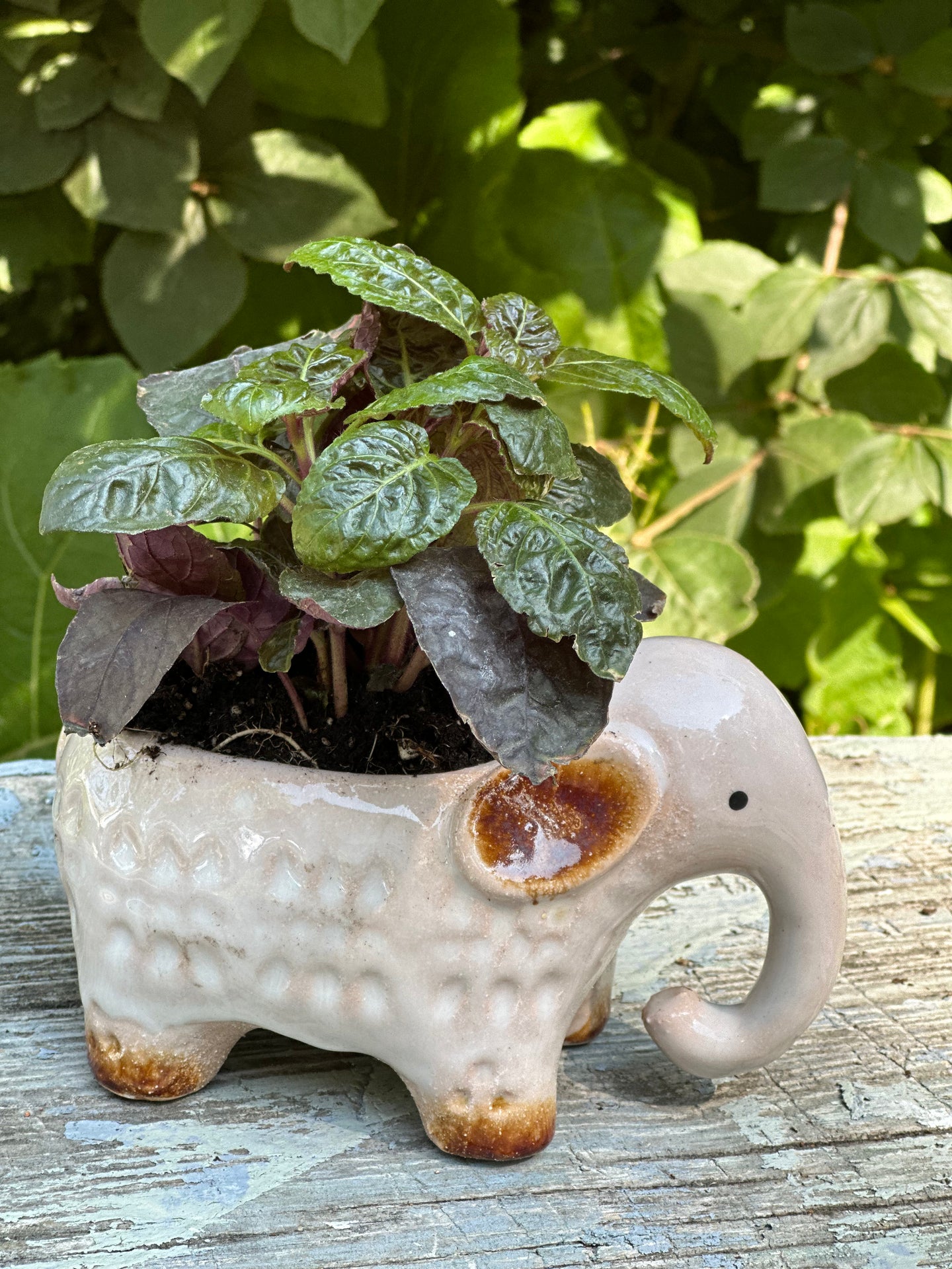 Elephant Planter