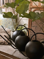 Obsidian Watering Can