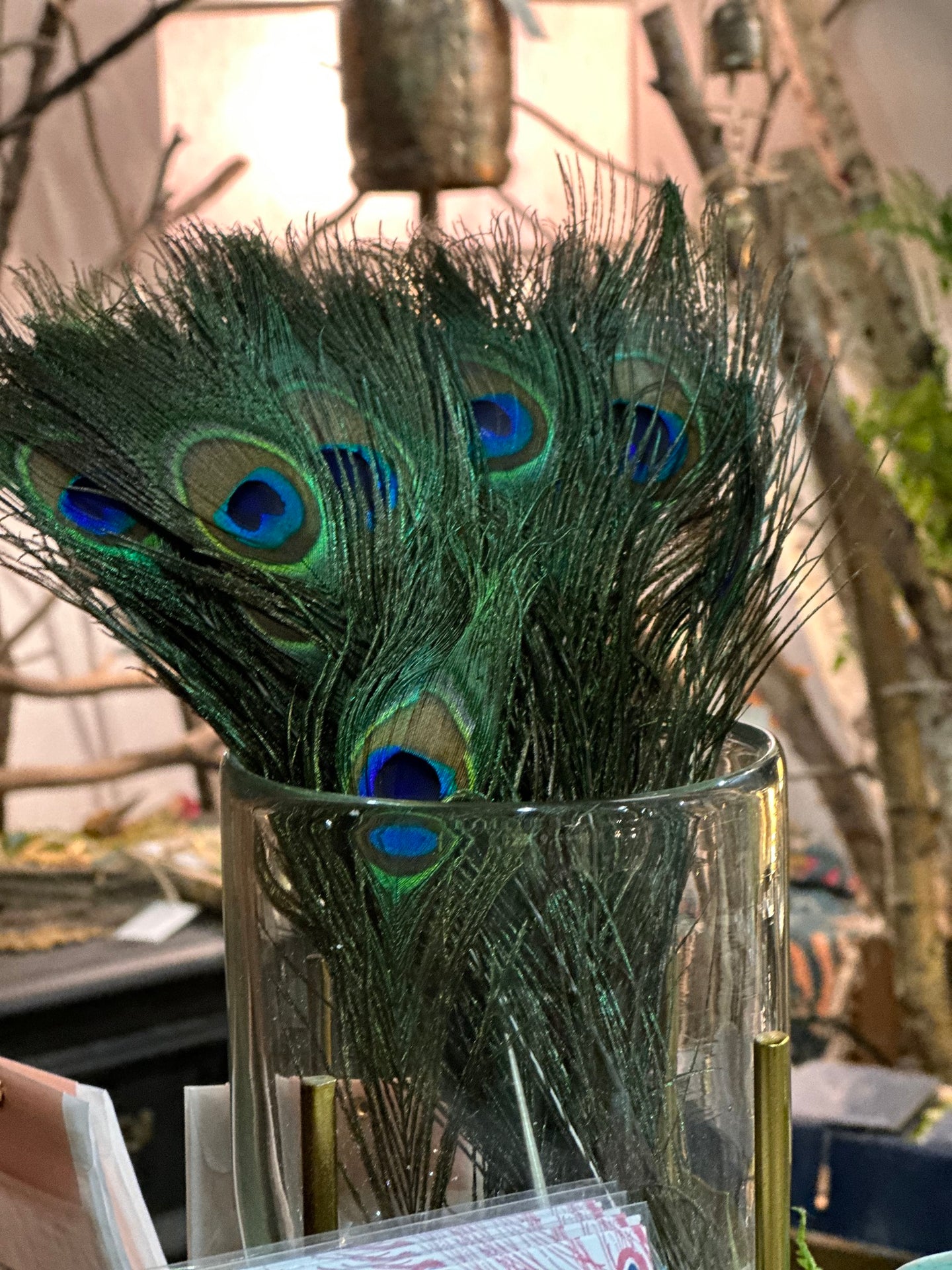 Genuine Premium Peacock Feather, Cruelty-Free – Chartreuse & co