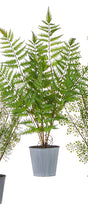 Load image into Gallery viewer, Faux Potted Fern, multiple styles
