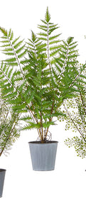 Faux Potted Fern, multiple styles