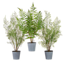 Load image into Gallery viewer, Faux Potted Fern, multiple styles
