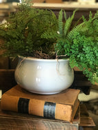 Rooted Greenery, multiple styles