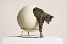 Load image into Gallery viewer, Designer Pet Globe
