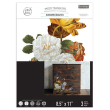 Load image into Gallery viewer, REDESIGN DECOR TRANSFERS®, multiple styles
