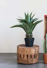 Load image into Gallery viewer, Faux Agave Plant
