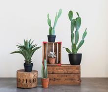 Load image into Gallery viewer, Faux Agave Plant
