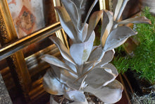 Load image into Gallery viewer, Aria Faux Succulent
