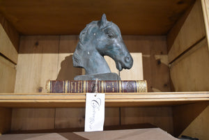 Bronze Equine Bust