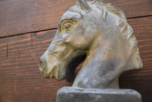 Load image into Gallery viewer, Bronze Equine Bust
