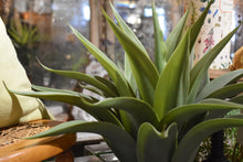 Load image into Gallery viewer, Faux Agave Plant
