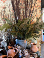 Colossal Birch-Branch Bundle