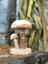 Load image into Gallery viewer, Birch Mushroom

