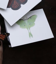 Load image into Gallery viewer, Luna Moth Card
