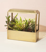 Load image into Gallery viewer, Brass UV-Light Grow House
