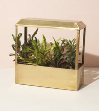 Load image into Gallery viewer, Brass UV-Light Grow House
