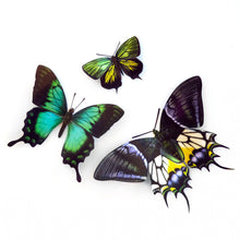 Load image into Gallery viewer, Artisanal Paper Papillon Collection, multiple styles
