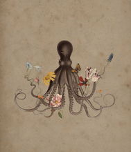 Load image into Gallery viewer, Octopus&#39; Garden Card
