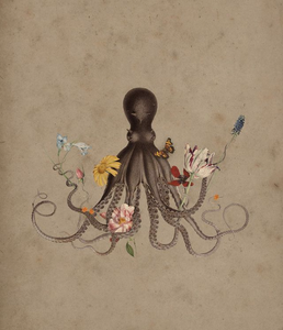 Octopus' Garden Card