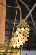 Kiketta Necklace