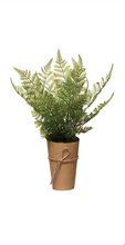 Load image into Gallery viewer, Faux Fern in Paper Pot, multiple styles
