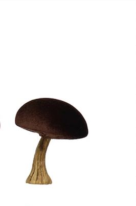 Velvet Mushroom, multiple styles
