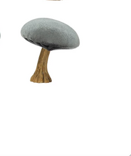 Load image into Gallery viewer, Velvet Mushroom, multiple styles

